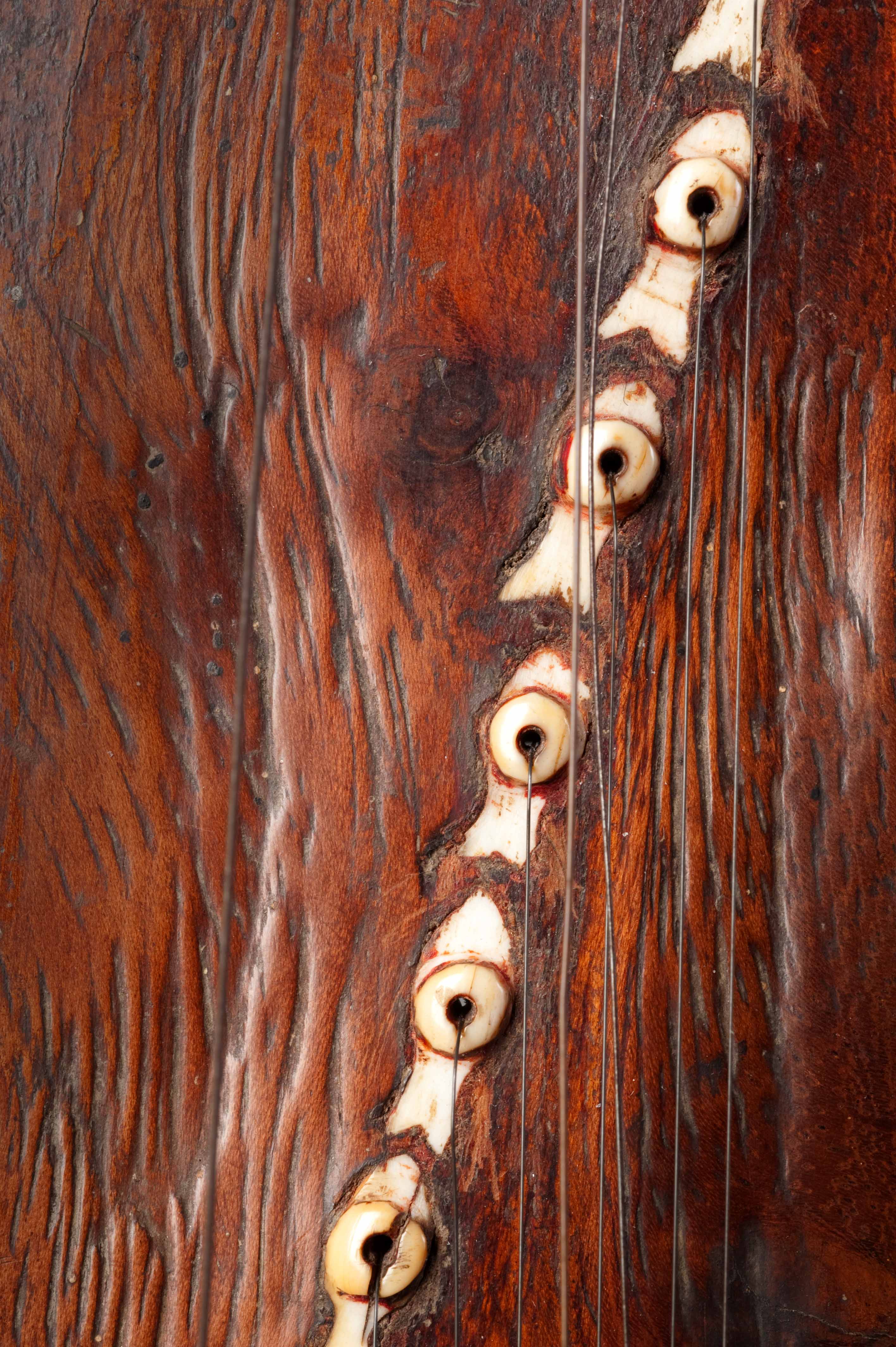 Sarangi detail 2