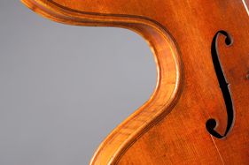 Violino arpa detail