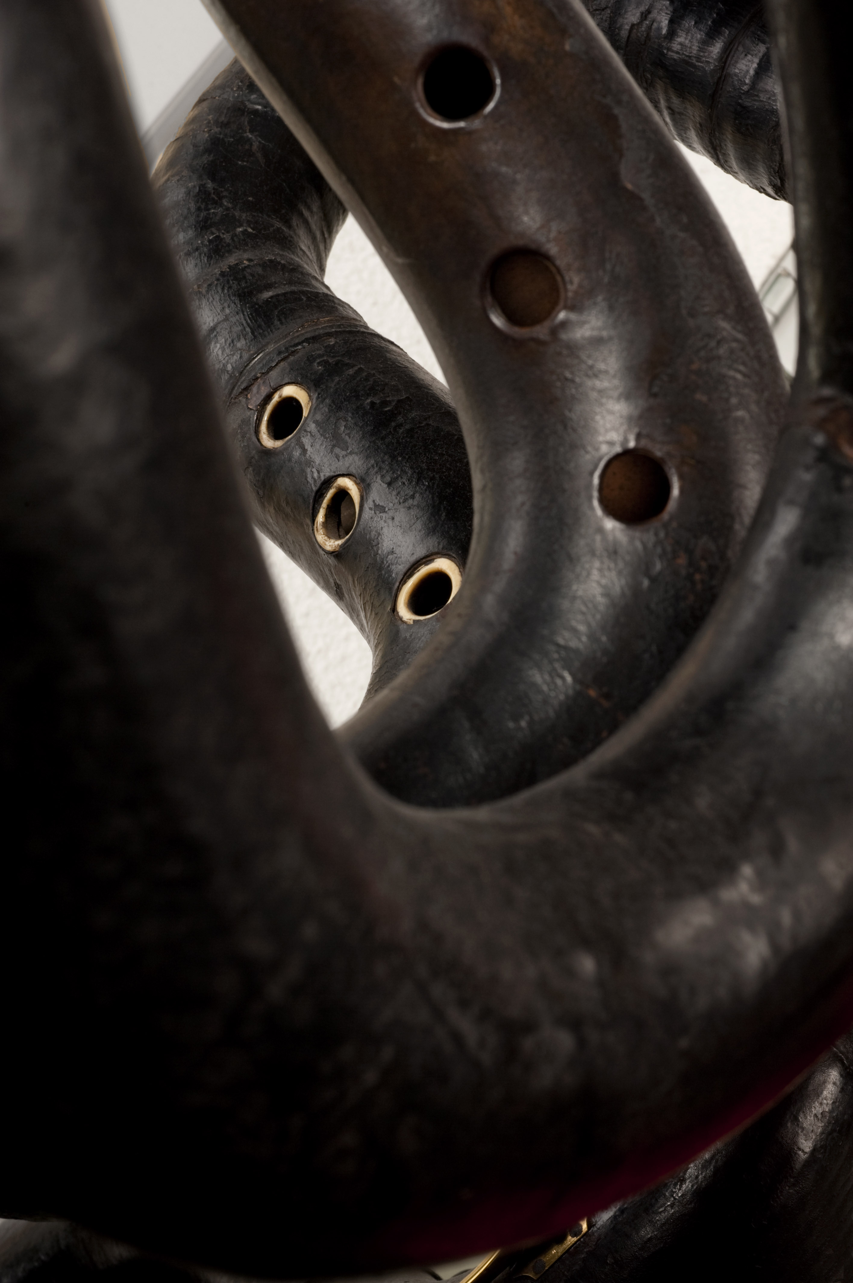 serpentenluster detail
